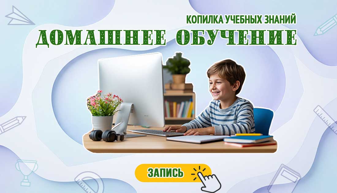 Лицеист, Подготовка к поступлению в рейтинговые школы Домашнее обучение